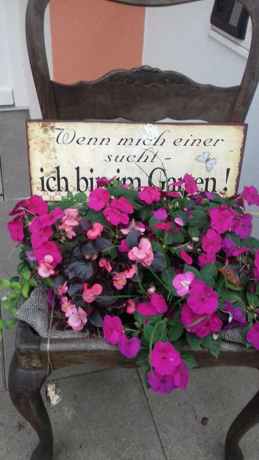 2 Waren Mueritz - Haus Buchen Am Tiefwarensee - 2 Zi